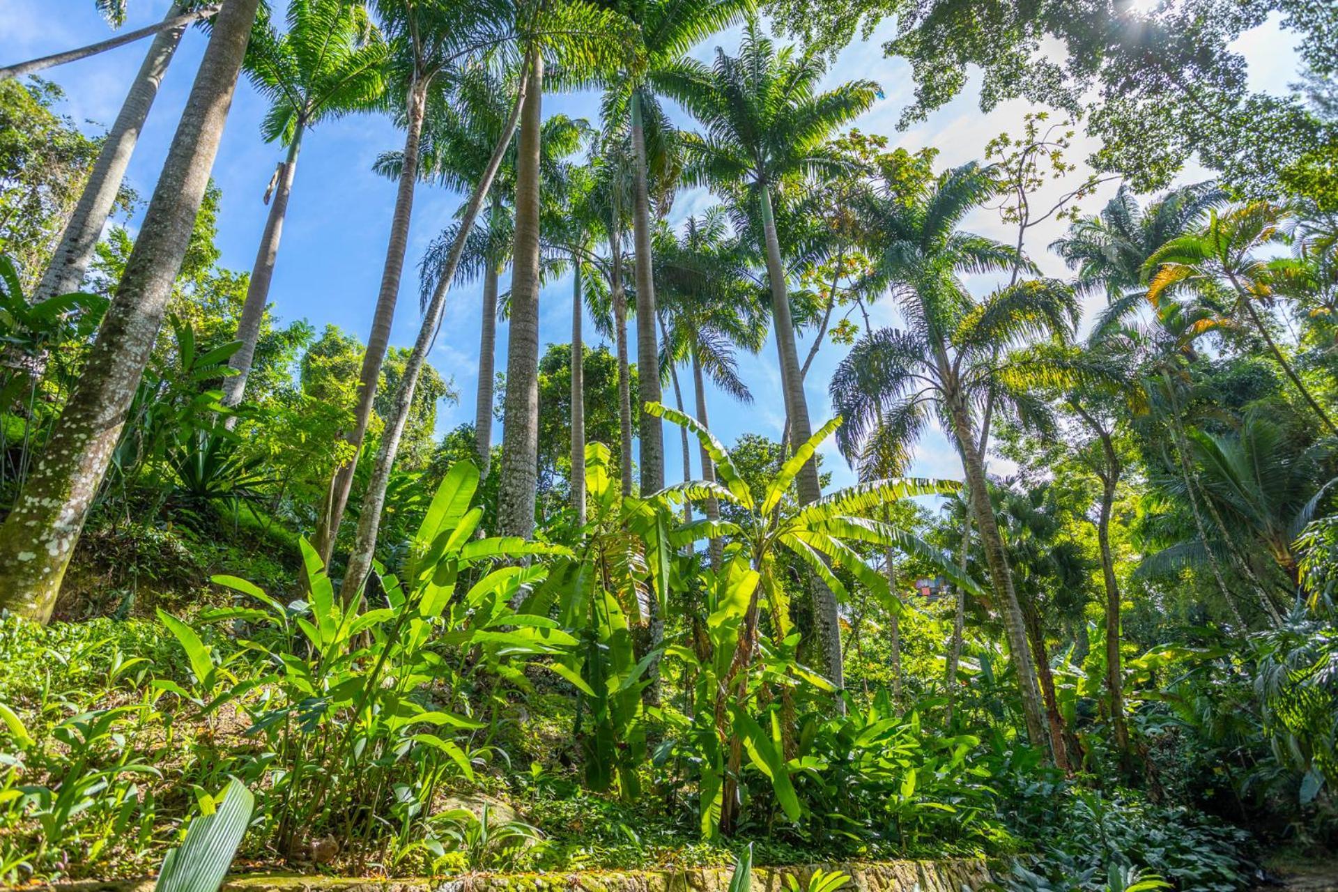 Cabanas Do Bosque Ilhabela Zewnętrze zdjęcie